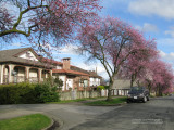 Graveley Street just east of Nanaimo Street, East Vancouver