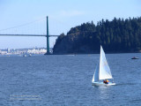 Sailing in Burrard Inlet