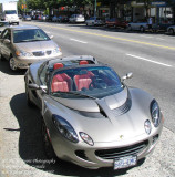 Elise Lotus on West Broadway