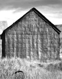 Metal shingled shed