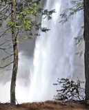 Vernal falls ,Yosemite Natl.Park