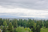 May 05 10 Portland Forest Butte Park-27.jpg