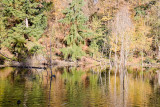 Critter Lake and Columbia River Nov 10 07