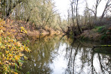 A River Park In Hillsboro, OR -- Nov. 20 07