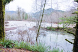 Dec 5 07 Oregon flood area-8.jpg