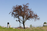 Apr 12 08 Vancouver Airfield-15.jpg