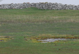 Oland may10  089.jpg