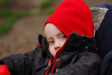 Oland may10  1029.jpg