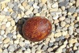 May 8 - Radisson Egg