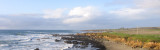 Pigeon Point #5052