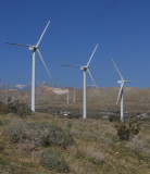 Wind Farm and the Painted Hills
