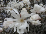 April 27, 2008