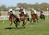 5280b.jpg (Escargot & Working Class Hero)