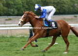 7011b.jpg (King First)