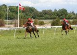 4202c.jpg (Rock Of Kildare)
