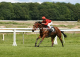 4211c.jpg (Rock Of Kildare)