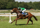7736c.jpg (Count Almaviva)