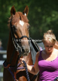0670d.jpg (Moonlight Gambler)