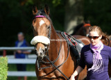 2452e.jpg (Sir Henry)