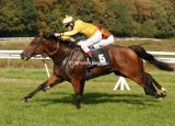 2587e.jpg (Irish Anderson & Vida Nova)