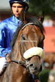 2836e.jpg (Clauses Star)