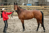 0980f.jpg (Second To None)