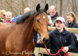 1097f.jpg (Tigress Eleven)