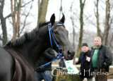 0493f.jpg (Finn Ind Again)