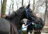 0494f.jpg (Finn Ind Again)