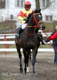 1280f.jpg (Eko Royal Emperor (kvl))