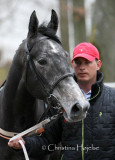 1397f.jpg (Big Molly)