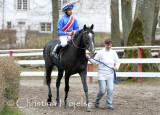 1428f.jpg (Prime Grey)