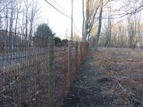 fence line after