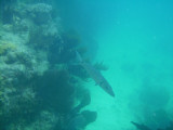 PICT0016.JPG