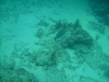 PICT0026.JPG