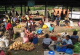 Moni market