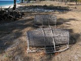 Fish traps
