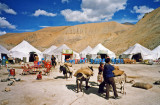 Dhabas, Pang