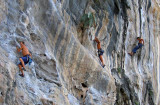 Climbers, Tonsai