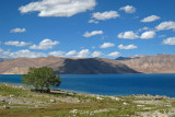 Pangong Tso