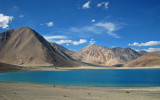 Pangong