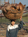 Coconut husks