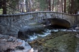 Bridge over Yosemite creek