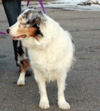 winnie-5.jpg