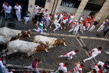 164Steers lead the way for the bulls.jpg
