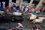 165Here come the bulls!.jpg