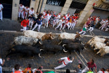 166See the grey bull.jpg