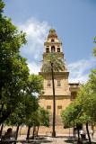 104Mesquite Cathedral.jpg