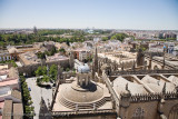 140View from the Bell Tower.jpg