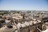 141View from the Bell Tower.jpg